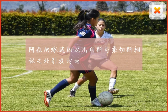 阿森纳球迷热议措利斯与桑切斯相似之处引发讨论