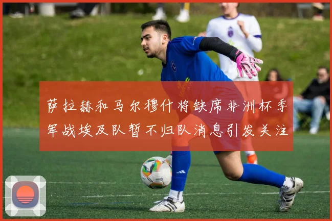 萨拉赫和马尔穆什将缺席非洲杯季军战埃及队暂不归队消息引发关注
