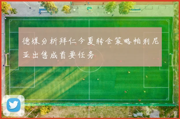 德媒分析拜仁今夏转会策略帕利尼亚出售成首要任务