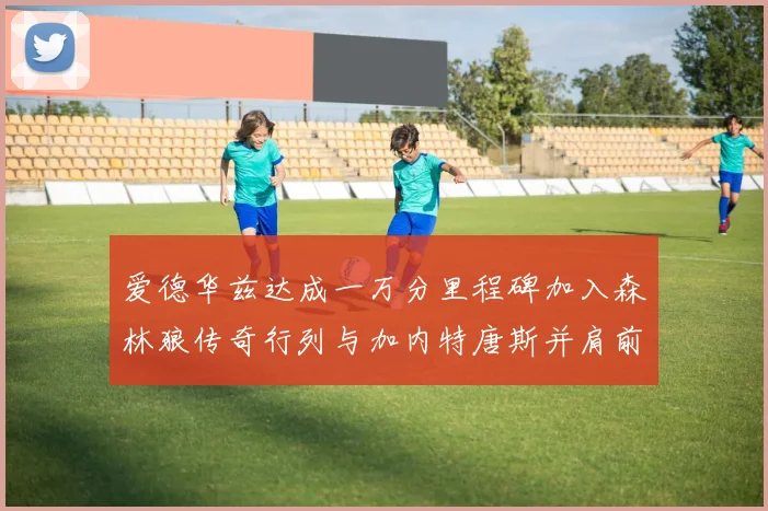 爱德华兹达成一万分里程碑加入森林狼传奇行列与加内特唐斯并肩前行